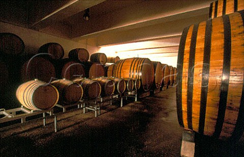 Barrel cellar at the Cantina Sociale cooperative Santa Maria La Palma Alghero Sardinia Italy