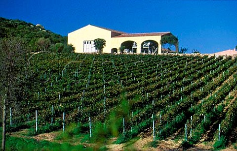 Vineyard of Tenute di Capichera with the new winery buildings Arzachena Sardinia Italy