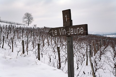 Walking route sign in snow covered vineyard below village of ChteauChalon Jura France ChteauChalon  Vin Jaune