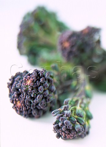 Purple Broccoli florets
