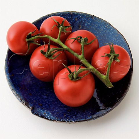Vine tomatoes on a blue plate