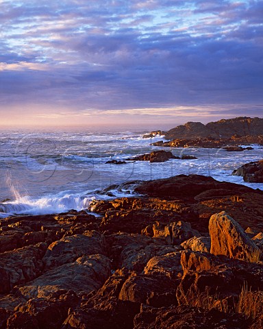 Stormy sunrise at the Mimosa Rocks Mimosa Rocks National Park New South Wales Australia