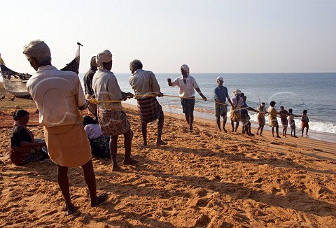 Fishermen hauling in their net on the beach north of Thiruvananthapuram Trivandrum Kerala India