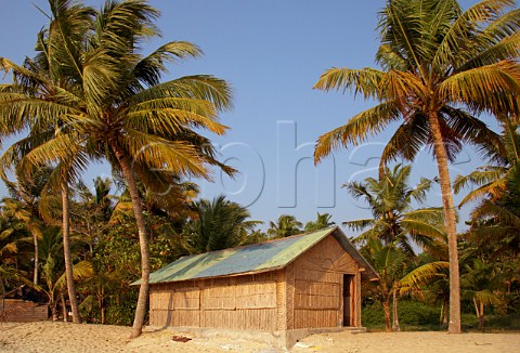 Decorative wicker hut amongst the palm trees on the beach at Kattoor Kalavoor Alappuzha Alleppey Kerala India