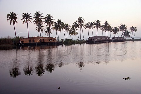 Houseboats and palm trees before sunrise on the banks of the Kuttanad the backwaters of Kerala known as the Venice of the East Kerala India