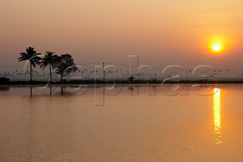 Sunrise over the Kuttanad the backwaters of Kerala known as the Venice of the East Kerala India