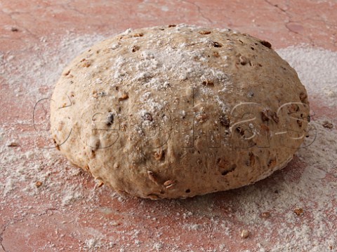Granary dough proving