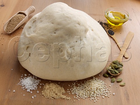 Bread dough proving