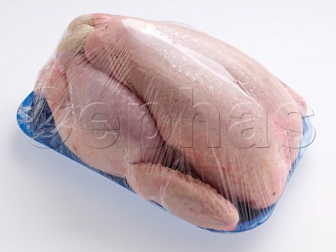 Clingfilm wrapped fresh chicken