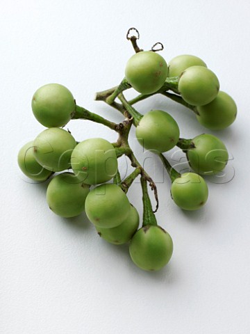 Pea Aubergines