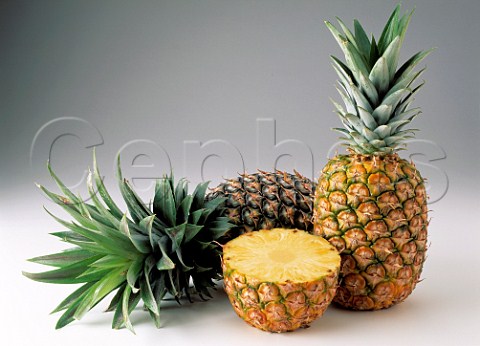 Gold and green pineapples