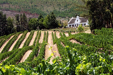 Dieu Donn manor house viewed from its vineyard Franschhoek Cape Province South Africa