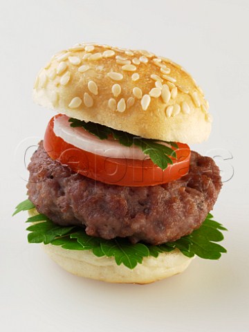 Beefburger canap