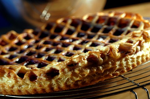 Baked lattice jam tart