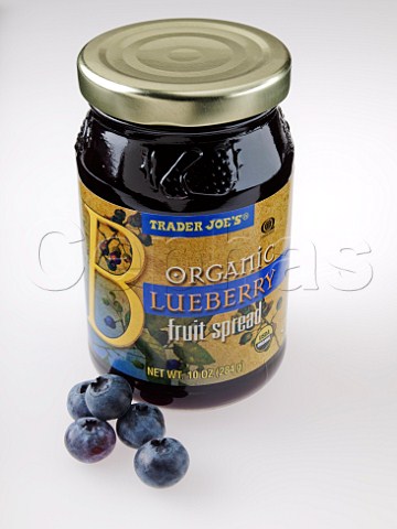 Jar of blueberry fruit spread