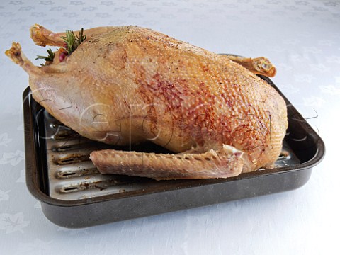 Roast Goose in roasting tin tray