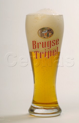 Glass of Brugse Tripel beer Belgium