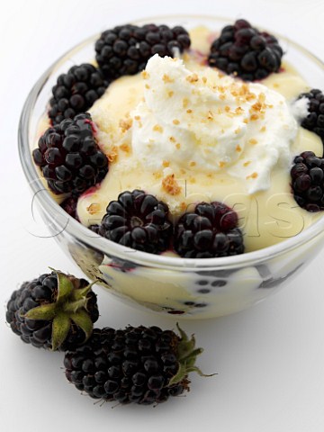 Blackberries with custard and cream