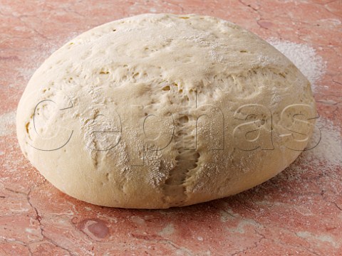 Bread dough Proving