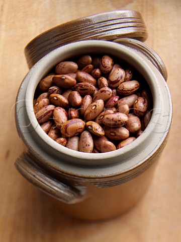 Barlotti beans in a storage jar