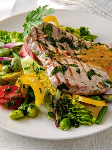 Plate of tuna steak with salad