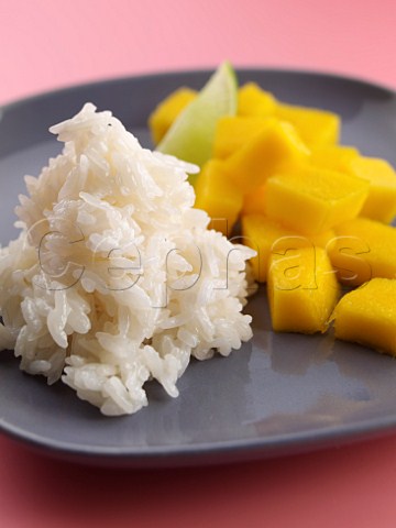 Thai sticky rice and mango slices