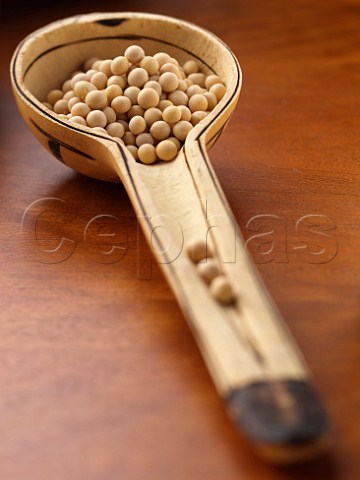 Organic soya beans in a wooden spoon