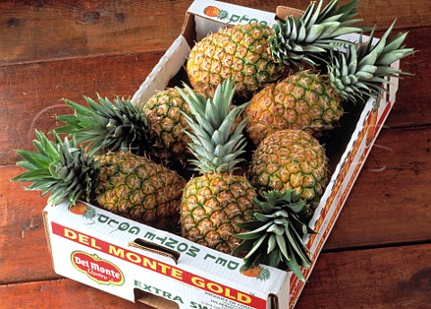 Box of Pineapples