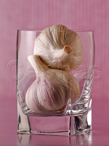 Garlic bulbs in glass
