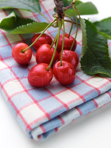 Cherries on a towel
