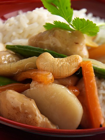 Chicken with cashew nuts and rice