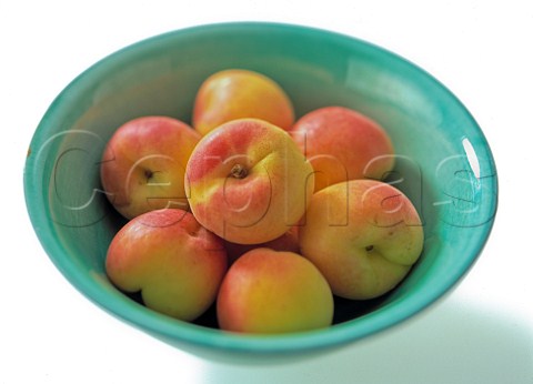 Bowl of fresh apricots