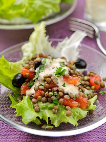 Lentil and olive salad