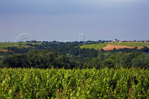 View across the Layon Valley to Chteau Pierre Bise and its vineyards Near BeaulieusurLayon MaineetLoire France Coteaux du LayonVillages