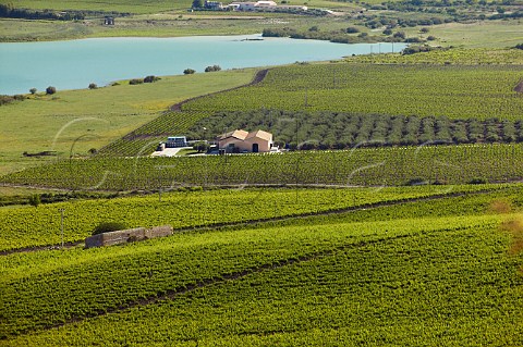 Planeta winery near Sambuca di Sicilia in Contrada Ulmo by the shores of Lake Arancio Agrigento province Sicily Italy