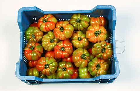 Box of Mariette tomatoes
