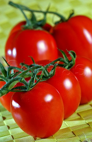 Vine tomatoes