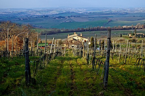 Vineyard and winery of Le Chiuse in winter Montalcino Tuscany Italy  Brunello di Montalcino