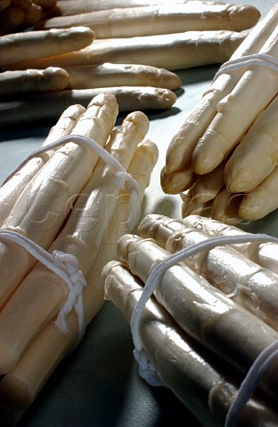 Bundles of white asparagus spears
