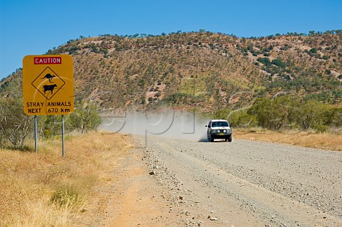 Stray animals next 670km sign on eastern end of Gibb River Road Western Australia