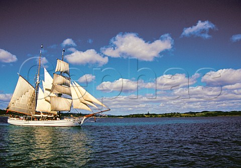 Tall ship Sores Larsen under sail in the Bay of Islands North Island New Zealand