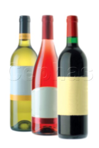 Bottles of white ros and red wines