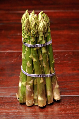 Bundle of asparagus spears
