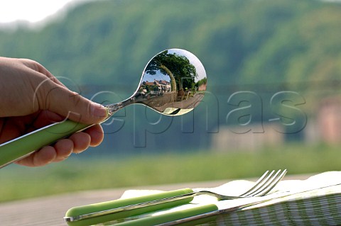 Garden table setting reflecting in spoon