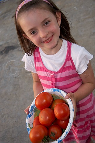 Young girl 6 years old holding a bowl of freshly picked home grown tomatoes Portugal