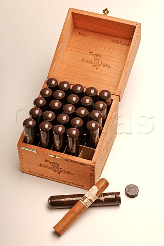 Box of Flor de Selva Robusto cigars in cigar tubes