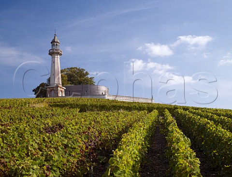 Wine museum and restored lighthouse above vineyard at Verzenay Marne France Montagne de Reims  Champagne