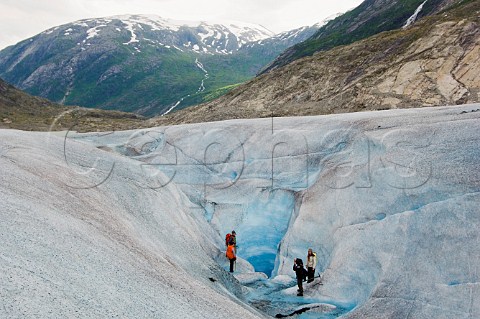 Hikers on Tunsbergsdals Glacier Leirdal Norway