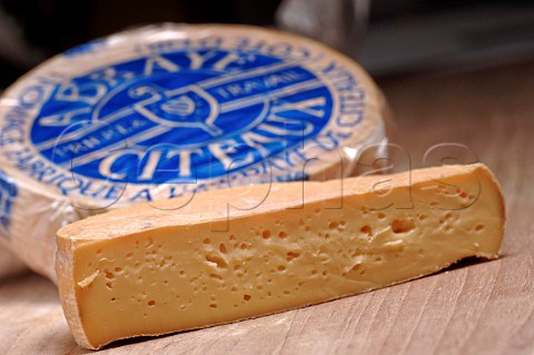 Abbaye Citeaux cheese