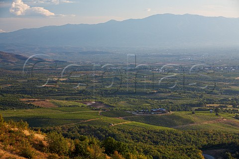 View over the plain at Naoussa Macedonia Greece Naoussa